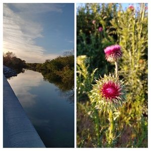 Meet your Posher, Toni sue